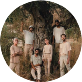 img-persona-arbol